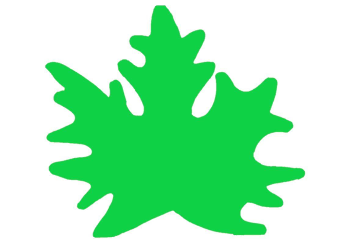 Кленовый лист зеленый - шаблон
